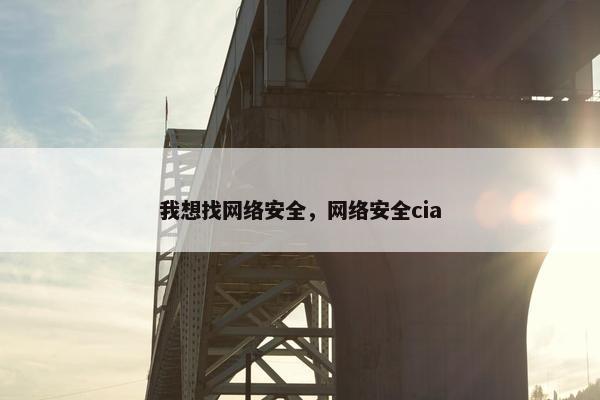 我想找网络安全，网络安全cia