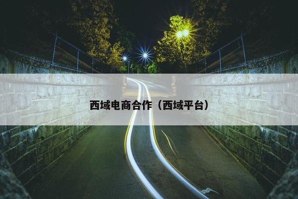西域电商合作（西域平台）