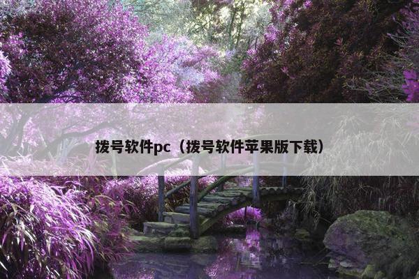 拨号软件pc（拨号软件苹果版下载）