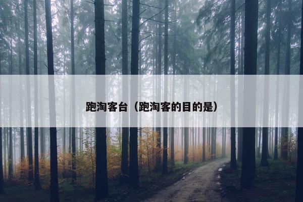 跑淘客台（跑淘客的目的是）