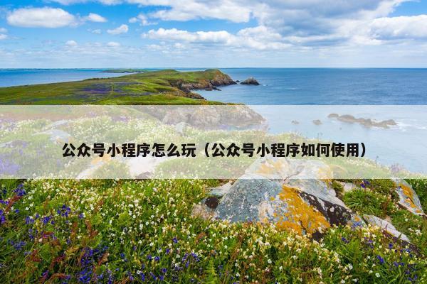 公众号小程序怎么玩（公众号小程序如何使用）