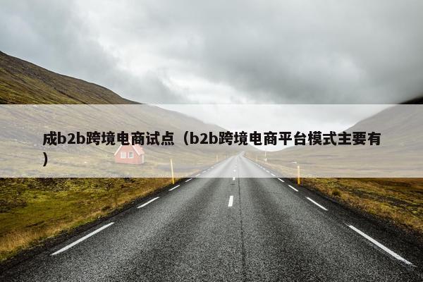 成b2b跨境电商试点（b2b跨境电商平台模式主要有）