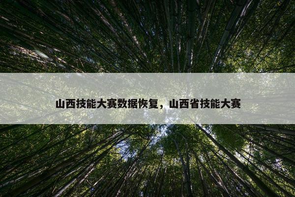山西技能大赛数据恢复，山西省技能大赛