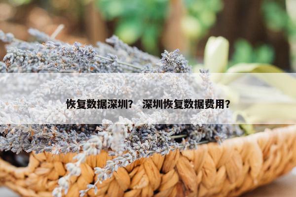 恢复数据深圳？ 深圳恢复数据费用？