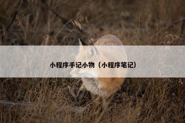 小程序手记小物（小程序笔记）