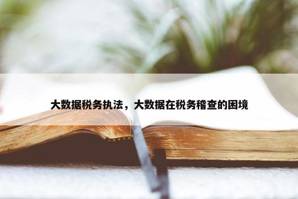 大数据税务执法，大数据在税务稽查的困境