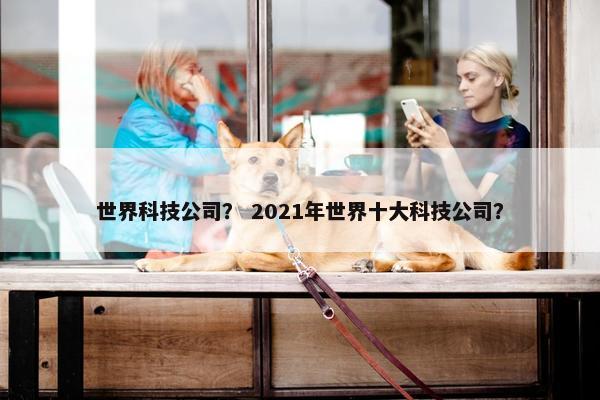 世界科技公司？ 2021年世界十大科技公司？