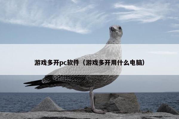 游戏多开pc软件（游戏多开用什么电脑）