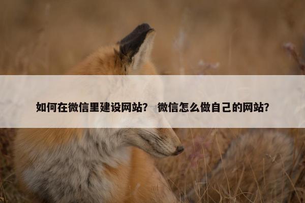 如何在微信里建设网站？ 微信怎么做自己的网站？