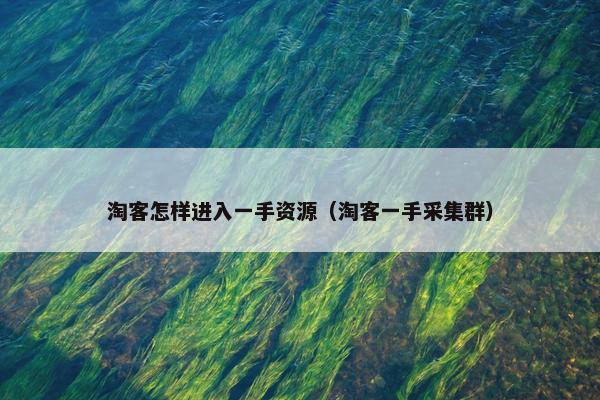 淘客怎样进入一手资源（淘客一手采集群）