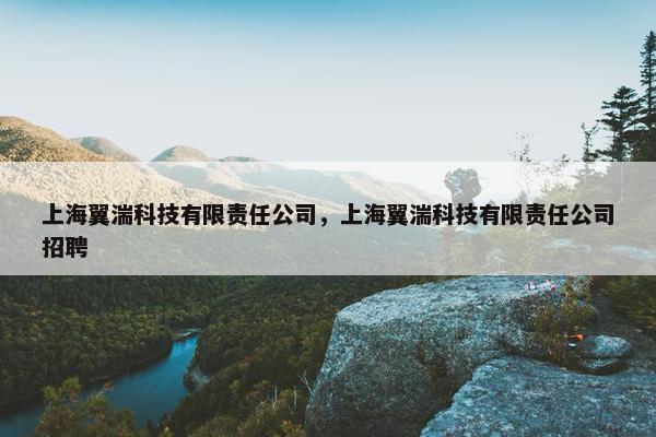 上海翼湍科技有限责任公司，上海翼湍科技有限责任公司招聘