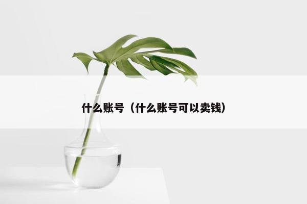 什么账号（什么账号可以卖钱）