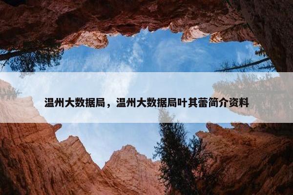 温州大数据局，温州大数据局叶其蕾简介资料