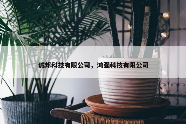 诚邦科技有限公司，鸿强科技有限公司