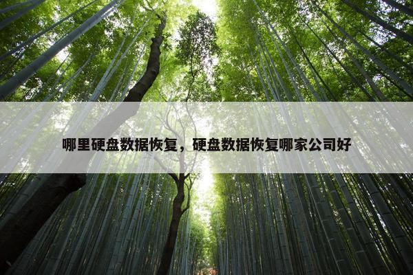 哪里硬盘数据恢复，硬盘数据恢复哪家公司好