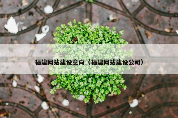 福建网站建设意向（福建网站建设公司）