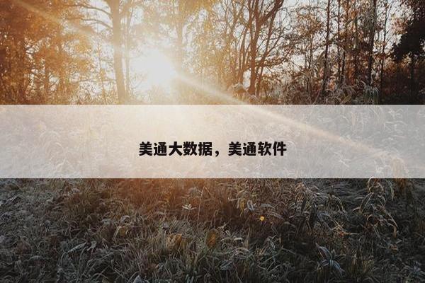 美通大数据，美通软件