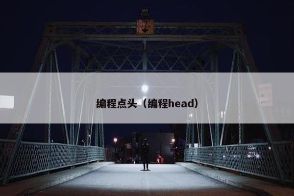 编程点头（编程head）