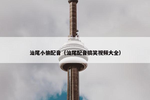 汕尾小偷配音（汕尾配音搞笑视频大全）