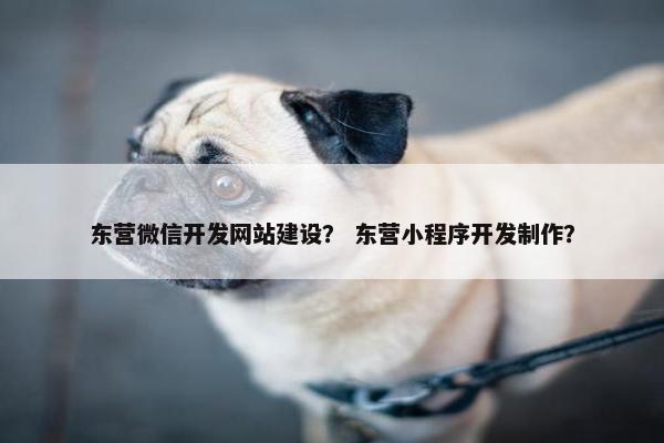 东营微信开发网站建设？ 东营小程序开发制作？
