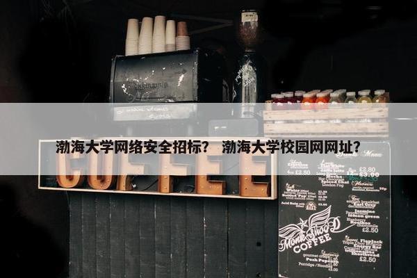 渤海大学网络安全招标？ 渤海大学校园网网址？