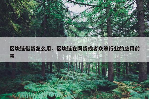 区块链借贷怎么用，区块链在网贷或者众筹行业的应用前景