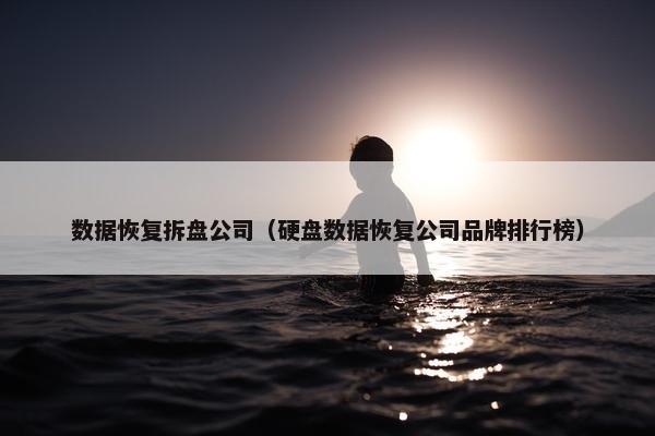数据恢复拆盘公司（硬盘数据恢复公司品牌排行榜）