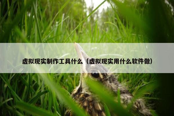 虚拟现实制作工具什么（虚拟现实用什么软件做）