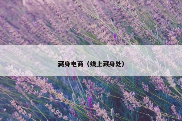 藏身电商（线上藏身处）