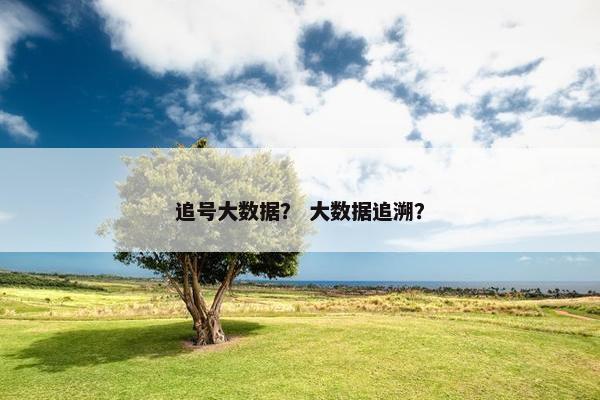 追号大数据？ 大数据追溯？
