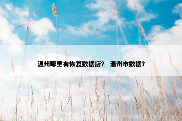温州哪里有恢复数据店？ 温州市数据？