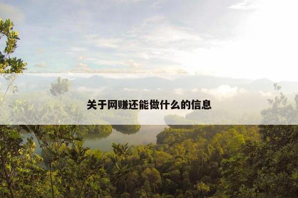 关于网赚还能做什么的信息