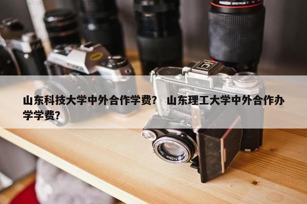 山东科技大学中外合作学费？ 山东理工大学中外合作办学学费？