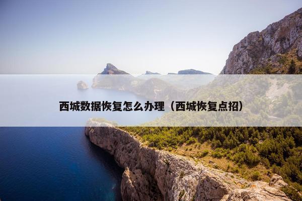 西城数据恢复怎么办理（西城恢复点招）