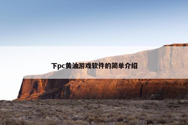 下pc黄油游戏软件的简单介绍