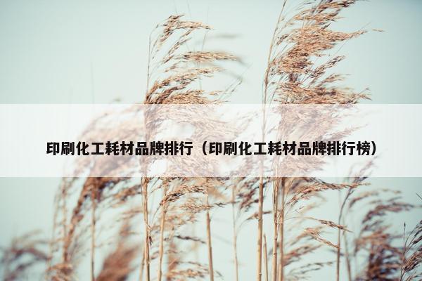 印刷化工耗材品牌排行（印刷化工耗材品牌排行榜）