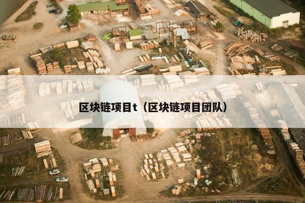 区块链项目t（区块链项目团队）