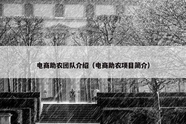 电商助农团队介绍（电商助农项目简介）