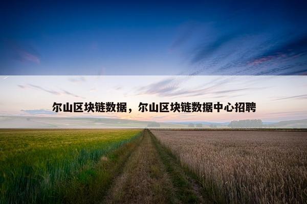 尔山区块链数据，尔山区块链数据中心招聘