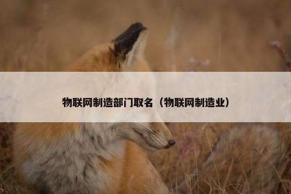 物联网制造部门取名（物联网制造业）