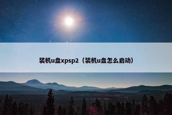装机u盘xpsp2（装机u盘怎么启动）