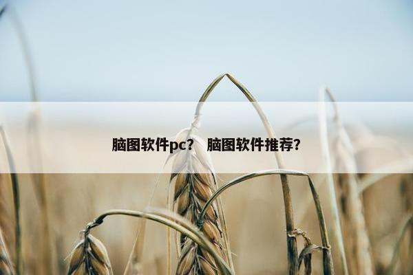 脑图软件pc？ 脑图软件推荐？