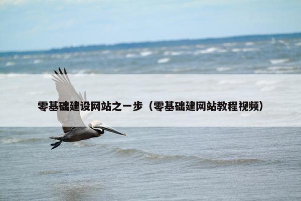 零基础建设网站之一步（零基础建网站教程视频）