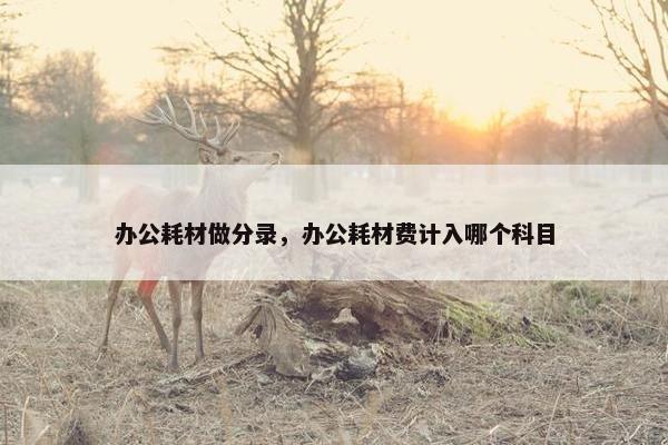 办公耗材做分录，办公耗材费计入哪个科目