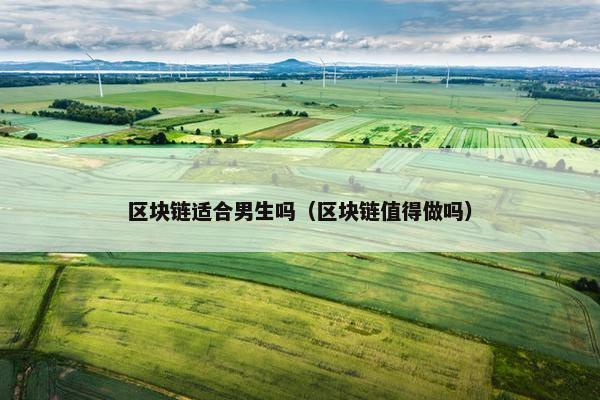 区块链适合男生吗（区块链值得做吗）