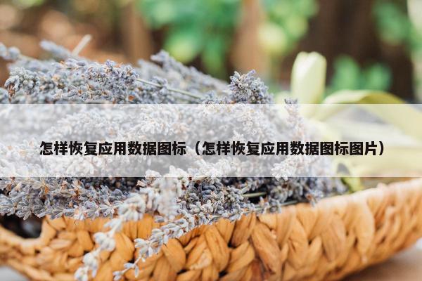 怎样恢复应用数据图标（怎样恢复应用数据图标图片）