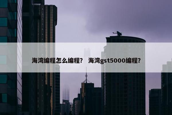 海湾编程怎么编程？ 海湾gst5000编程？