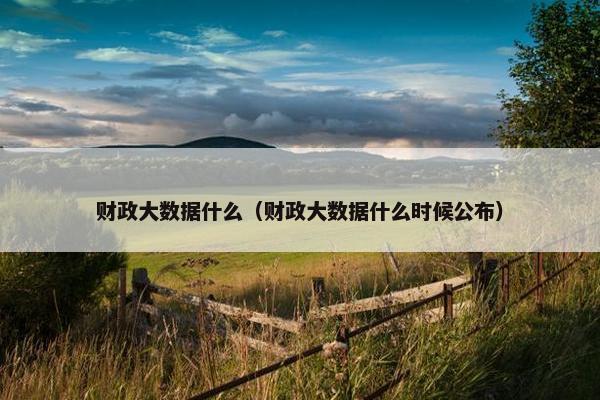 财政大数据什么（财政大数据什么时候公布）