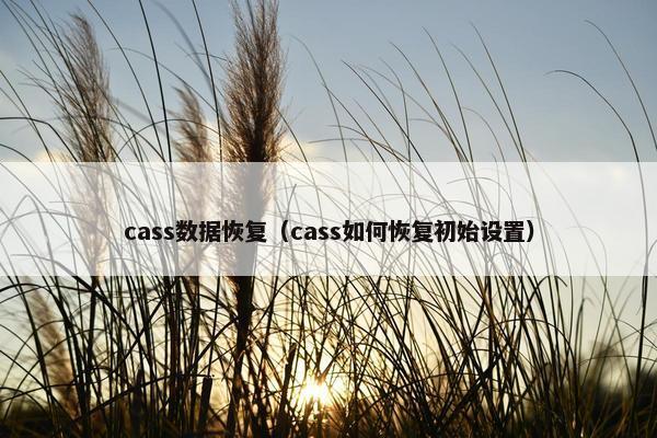 cass数据恢复（cass如何恢复初始设置）