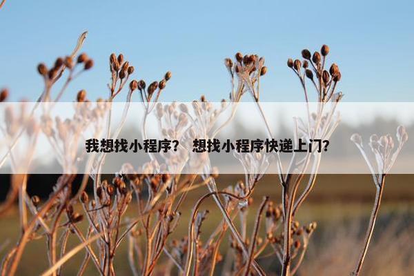 我想找小程序？ 想找小程序快递上门？